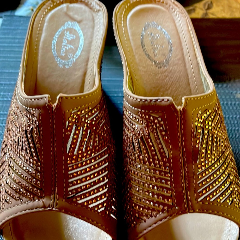 I am reposhing these beautiful sandals Iwas unable to get past info